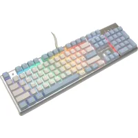 Клавиатура A4Tech Fstyler FS100 Neon (серебристый/голубой) фото 1